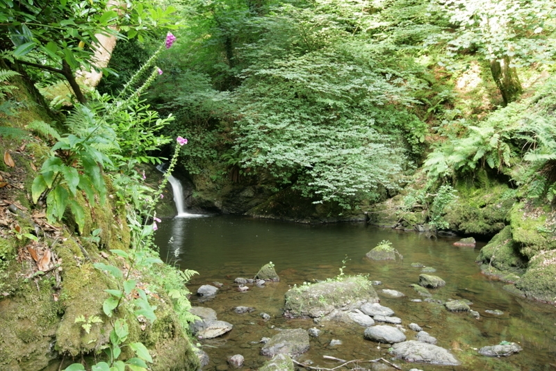 Plas Cadnant Hidden Gardens